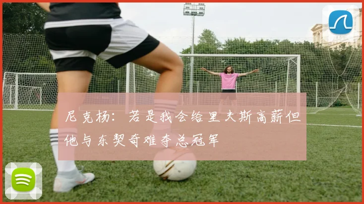 尼克杨：若是我会给里夫斯高薪但他与东契奇难夺总冠军