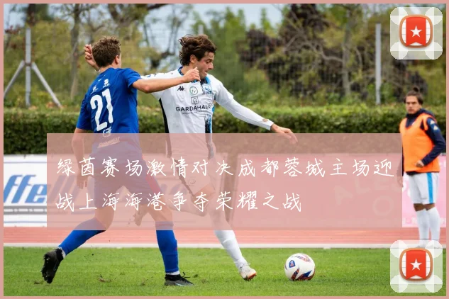 绿茵赛场激情对决成都蓉城主场迎战上海海港争夺荣耀之战