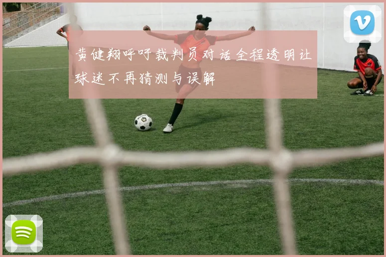 黄健翔呼吁裁判员对话全程透明让球迷不再猜测与误解