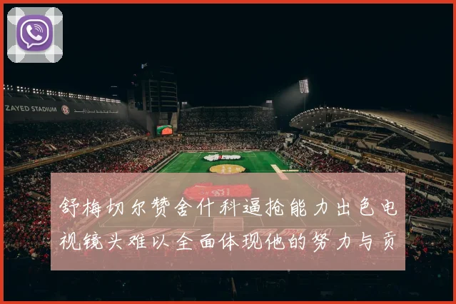 舒梅切尔赞舍什科逼抢能力出色电视镜头难以全面体现他的努力与贡献